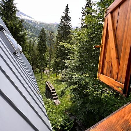 ~Chalet_Rifugio Tra I Boschi~ Sella Nevea Luaran gambar