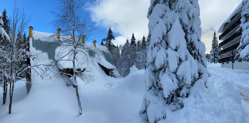 ~Chalet_Rifugio Tra I Boschi~ Sella Nevea Luaran gambar