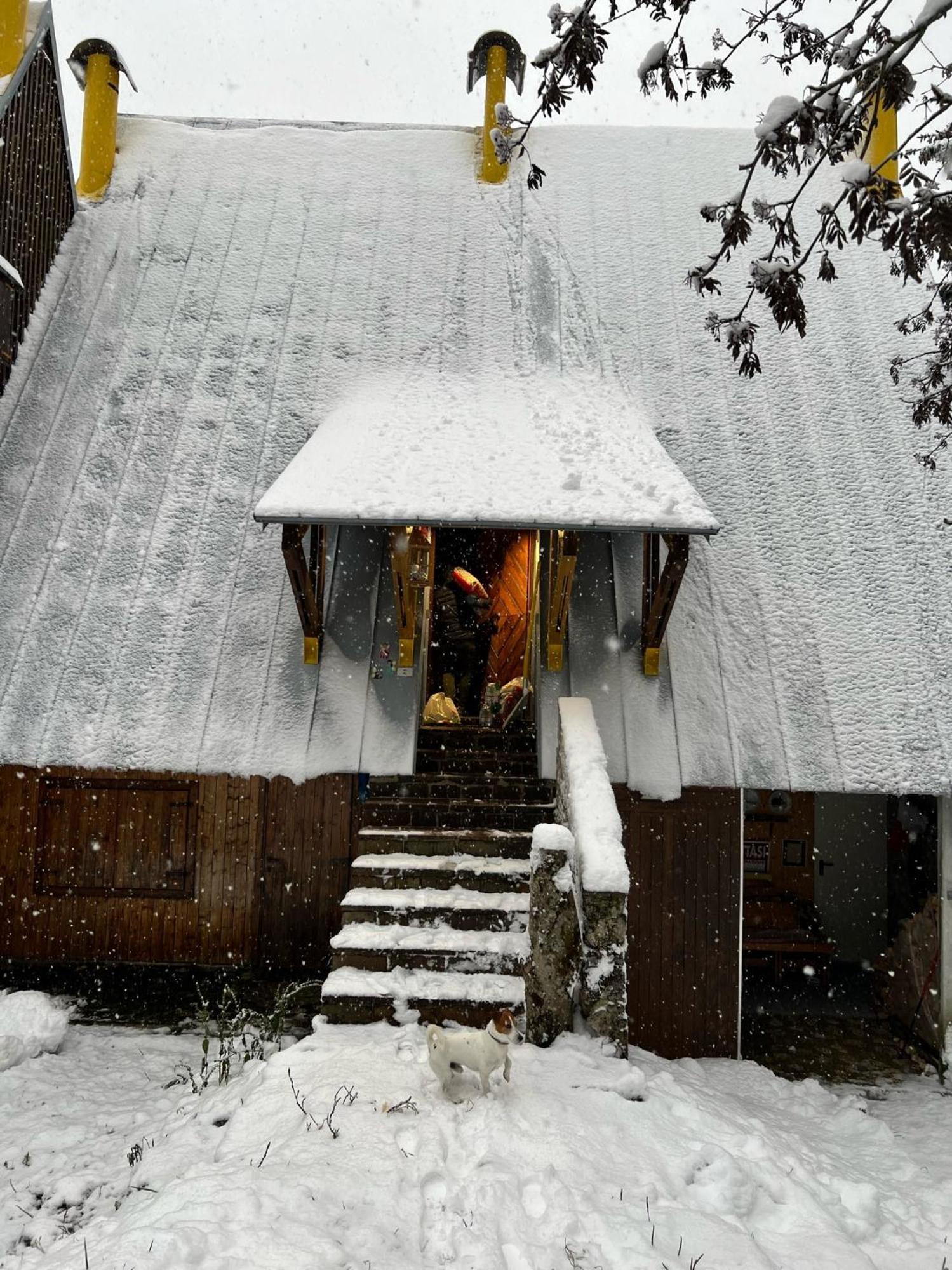 ~Chalet_Rifugio Tra I Boschi~ Sella Nevea Luaran gambar