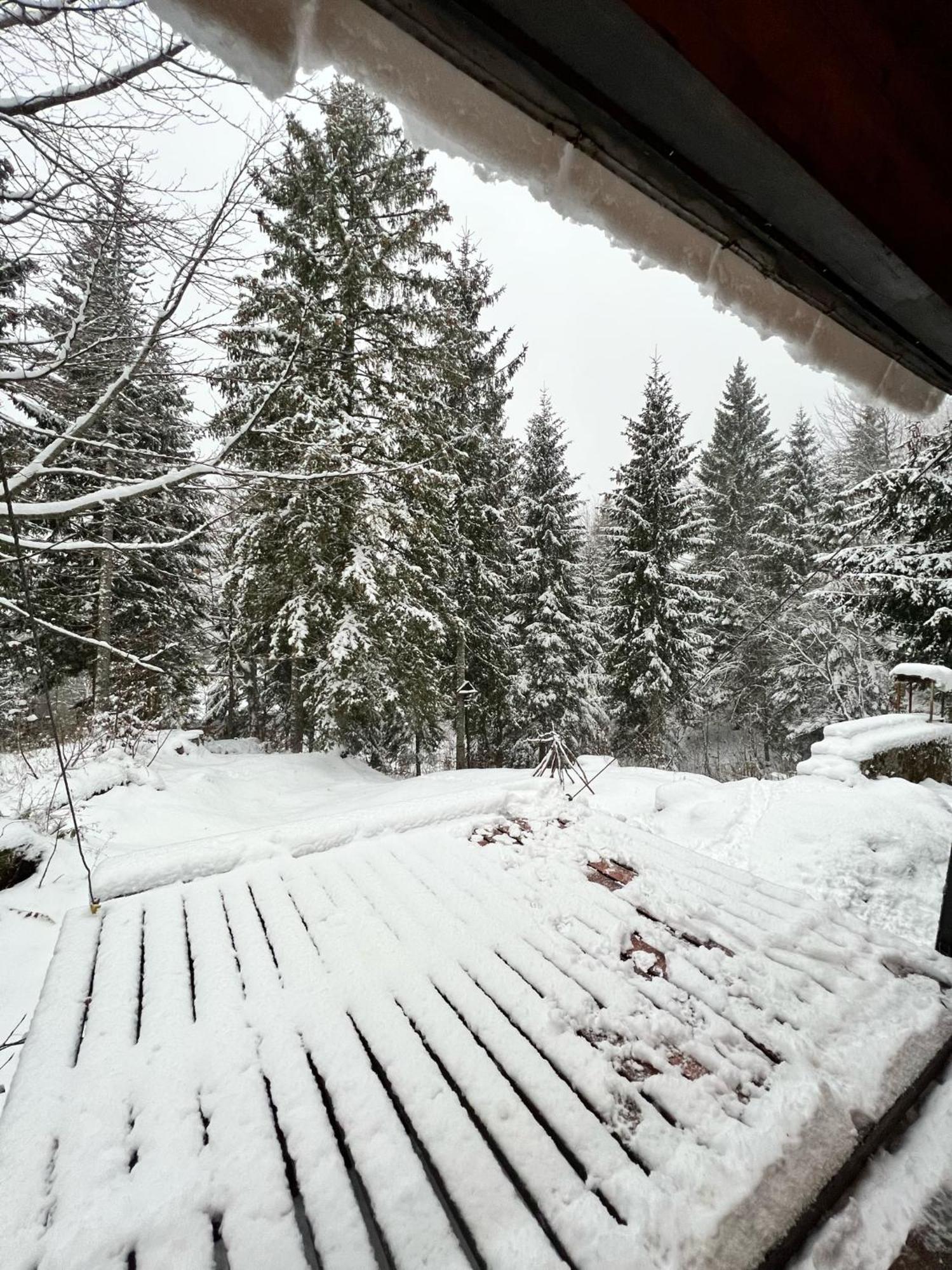 ~Chalet_Rifugio Tra I Boschi~ Sella Nevea Luaran gambar