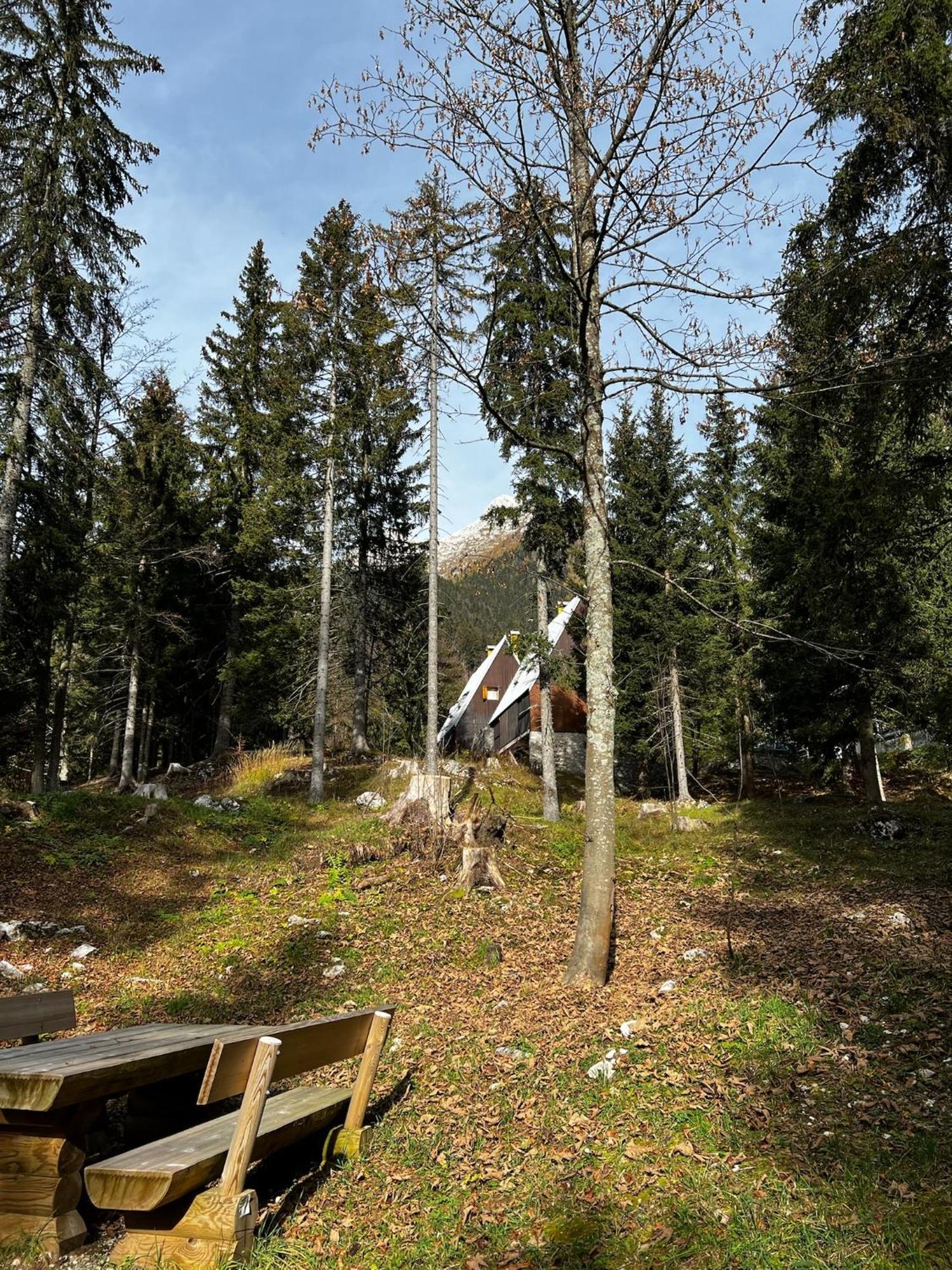 ~Chalet_Rifugio Tra I Boschi~ Sella Nevea Luaran gambar